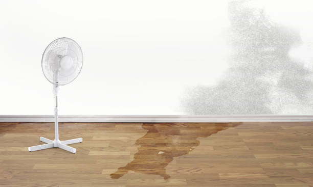 Best Carpet water damage restoration  in Sturgeon, PA