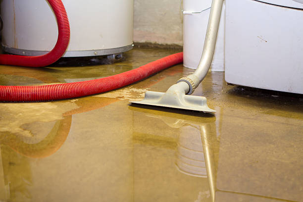 Best Flood damage cleanup  in Sturgeon, PA