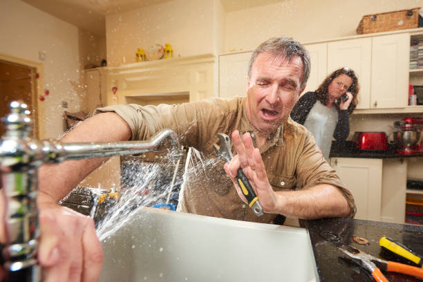 Best Flooded house restoration  in Sturgeon, PA